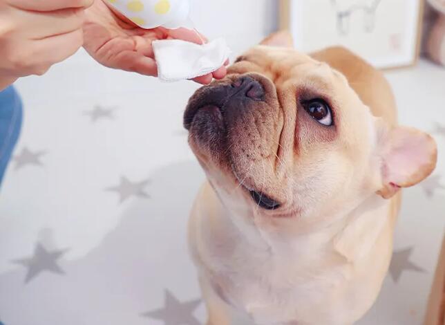 寵物用品進口報關關稅稅率（寵物用品進口關稅是多少？）